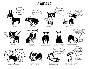 Dog Body Language Signals Chart