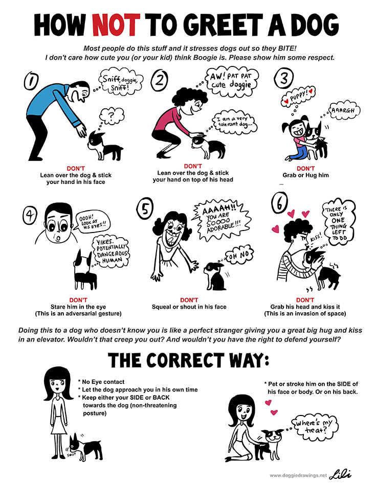 Dog Safety Greeting A Dog Infographic