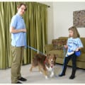 Walking with 4 and 6 foot nylon leashes