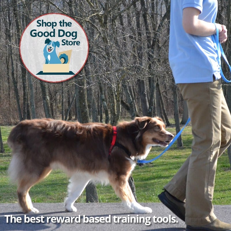 Shop the Good Dog Store