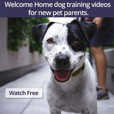 Welcome Home Video Series
