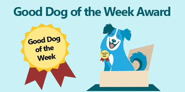 Good Dog of the Week Award