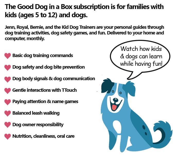 Good Dog in a Box Subscription Details