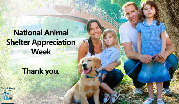 Animal Shelter Appreciation Week