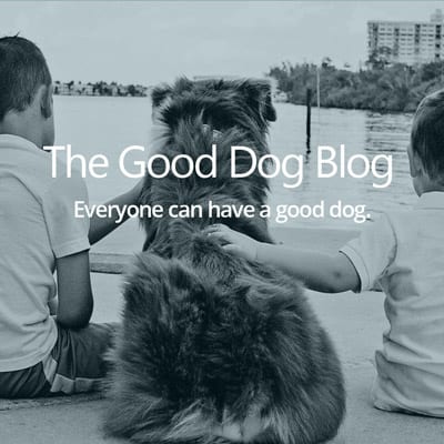 Good Dog Blog