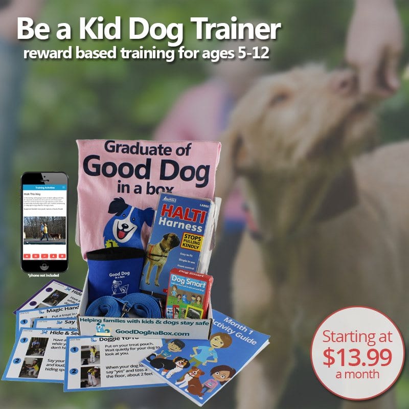 Good Dog in a Box Dog Training Subscription for Kids