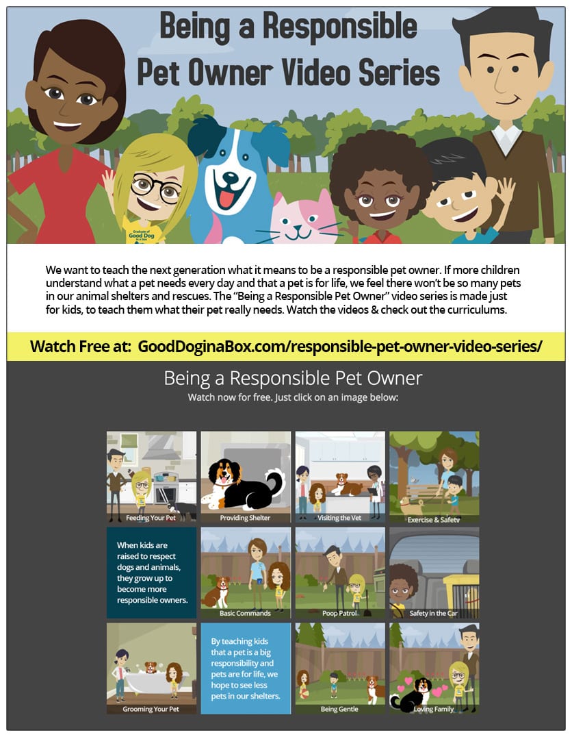 Being a Responsible Pet Owner Video Series Flyer