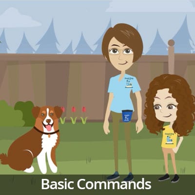Being a Responsible Pet Owner Video Series: Basic Commands