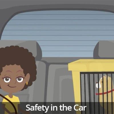 Being a Responsible Pet Owner Video Series: Safety in the Car