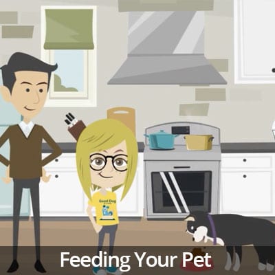 Being a Responsible Pet Owner Video Series: Feeding Your Pet