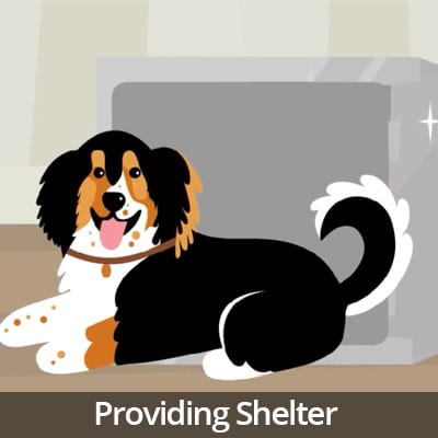 Being a Responsible Pet Owner Video Series: Providing Shelter