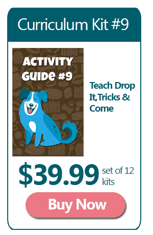 Dog Training Curriculum 9