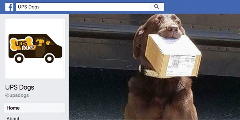 UPS Dogs Facebook Page