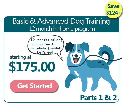 12 Month Basic & Advanced In-Home Dog Training Program