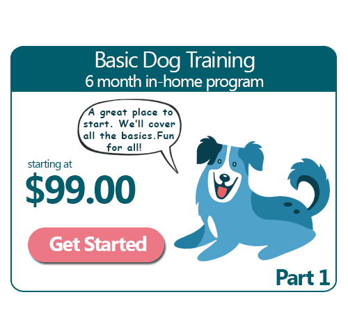 6 Month Basic In-Home Dog Training Program