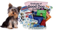 In-Home Family Dog Training Program