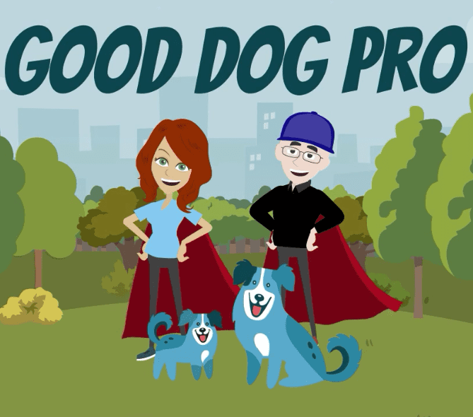 Good Dog Pro Video Podcast
