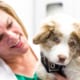 Dr. Amy Pike Veterinary Behaviorist