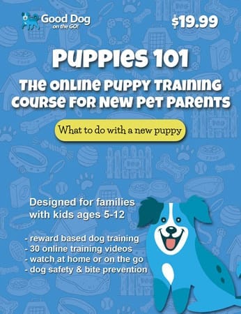 Puppies 101 Puppy Training