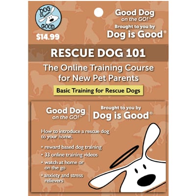 Dog Is Good Rescue Dog 101 Online Dog Training