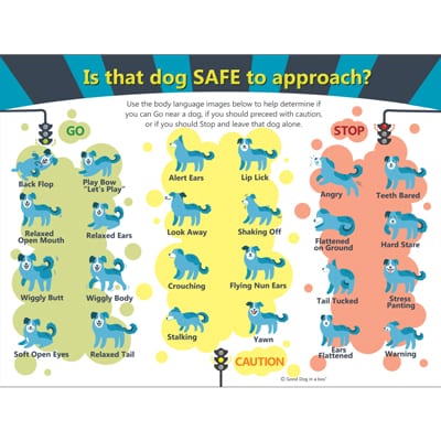Dog Body Language Game Poster
