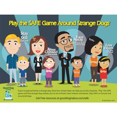 SAFE Dog Bite Prevention Game for Adults and Kids Poster